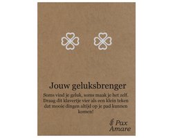 Stainless Steel Klavertje Vier Oorbellen op Cadeau Kaartje - Jouw geluksbrenger - ± 10x10mm Oorknopjes Zilverkleurig Roestvrij Staal - Pax Amare