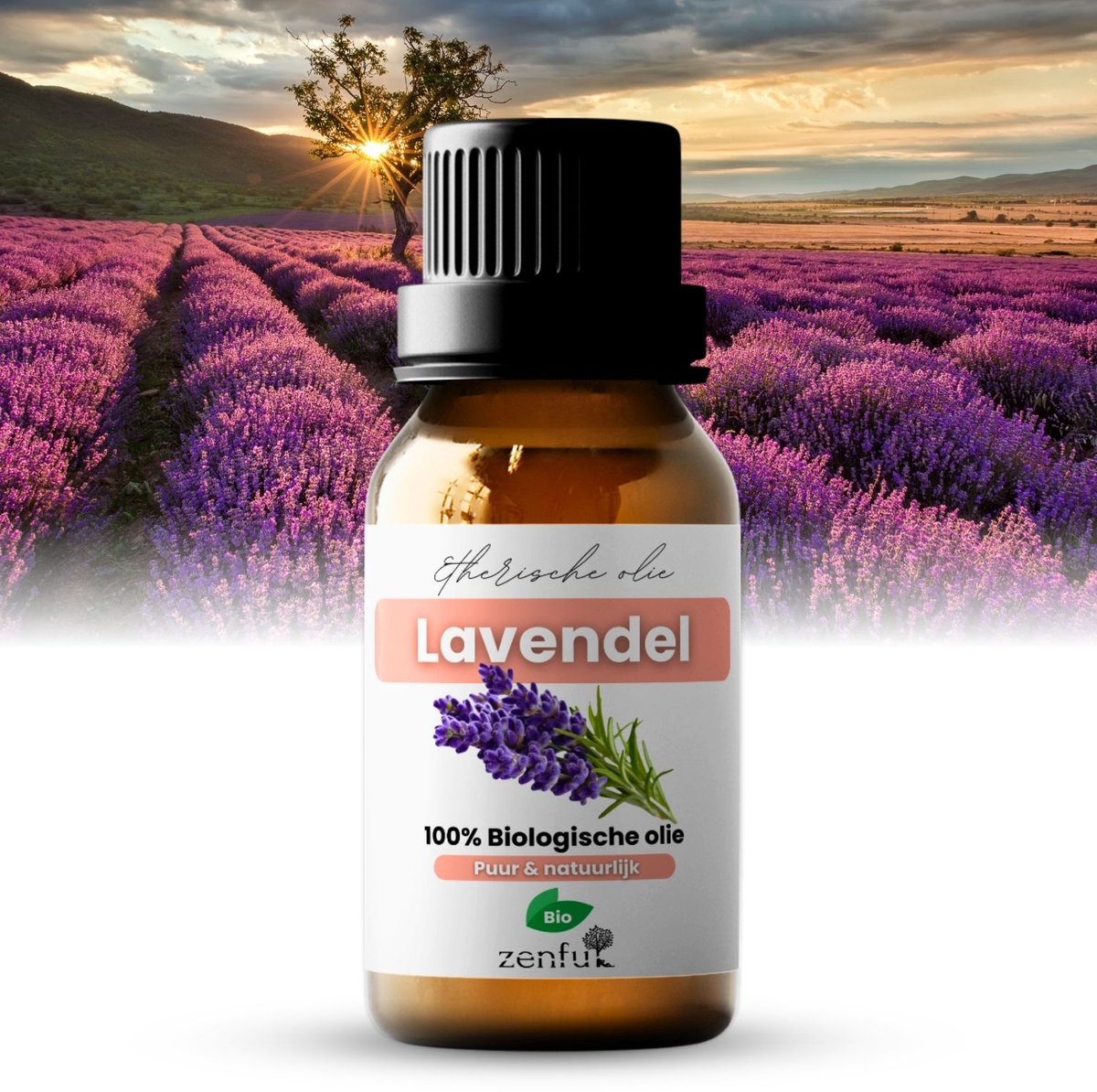 Goedkoopste Lavendel Echte Bulgarije - Etherische / Essentiële Olie - Puur & Biologisch - 10 ml