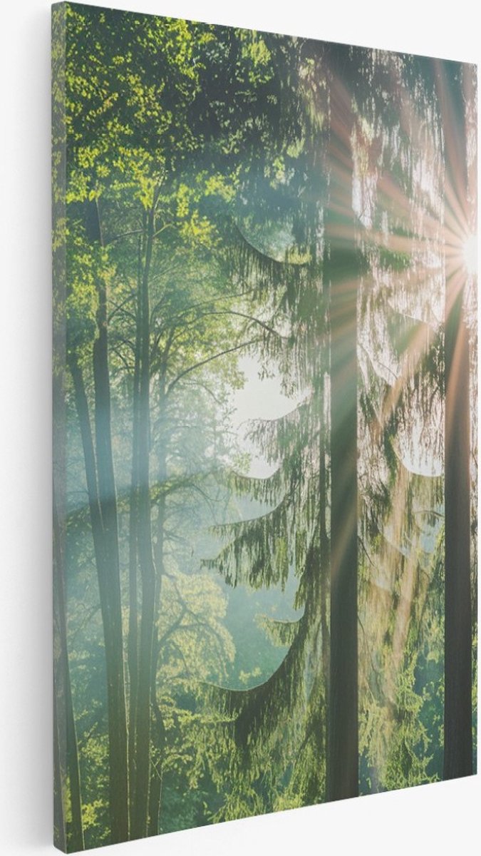 Saammp Canvas Schilderij - Zon tussen de bomen - Bos - Landschap - Natuur - 40x60 - Foto op canvas - Wanddecoratie - Muurdecoratie Woonkamer - Slaapkamer decoratie - Canvas Print Multicolor