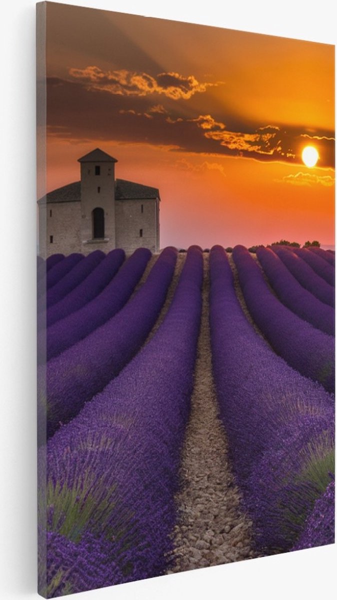 Saammp Canvas Schilderij - Lavendelveld met huis - Natuur - Landschap - 75x100 - Foto op canvas - Wanddecoratie - Muurdecoratie Woonkamer - Slaapkamer decoratie - Canvas Print Multicolor