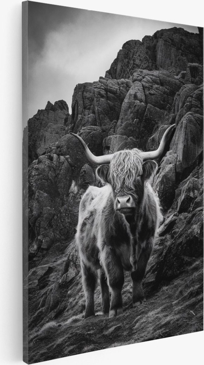 Saammp Canvas Schilderij - Schotse hooglander koe - Rotsen - Dieren - 60x90 - Foto op canvas - Wanddecoratie - Muurdecoratie Woonkamer - Slaapkamer decoratie - Canvas Print Multicolor