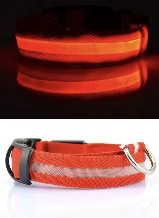 Laisse LED rouge pour chien avec rayures réfléchissantes et boucle.
