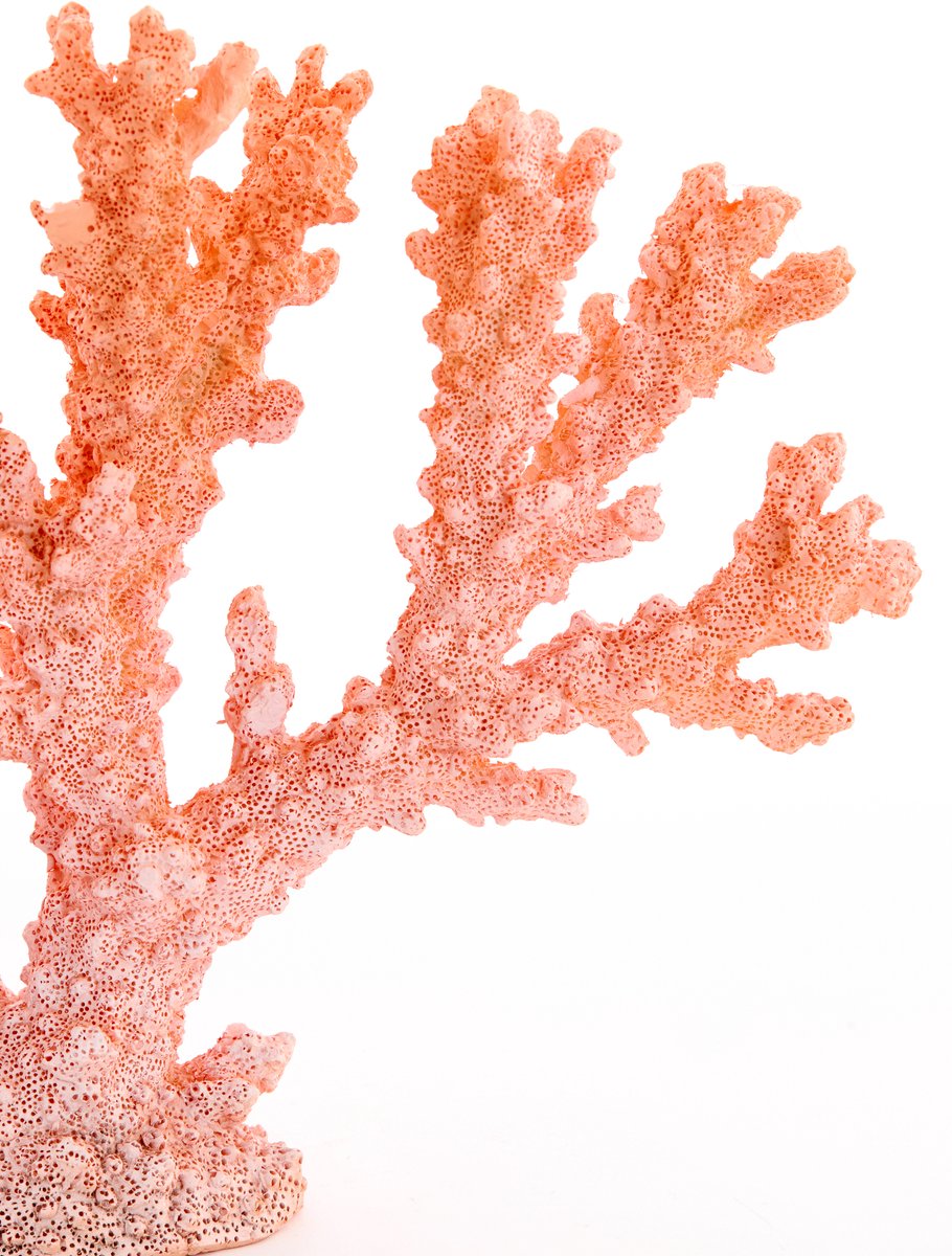 Ornament CORAL - 34.5x9.7x25cm - Oranje