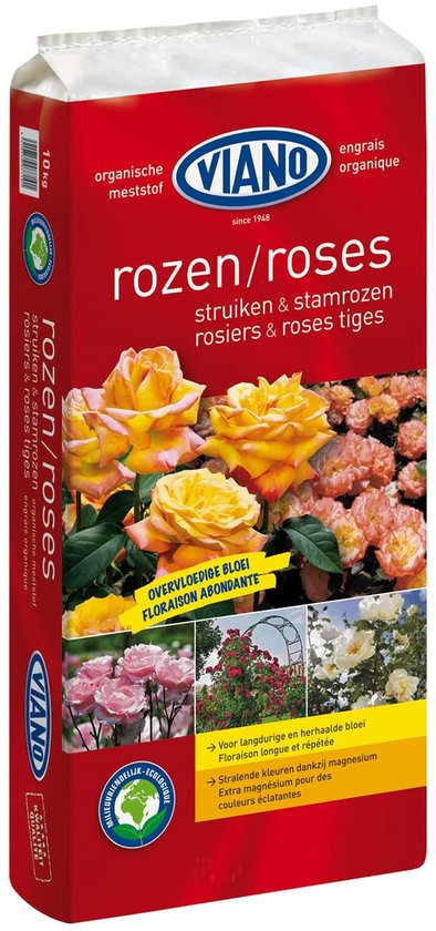De 5 beste vaste planten voor een zeer bloeiende en kleurrijke tuin in de lente zonder onderhoud