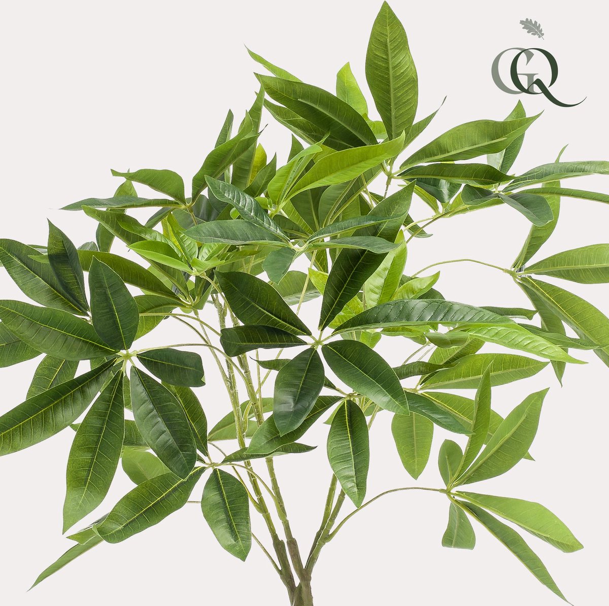 kunstplant - Pachira aquatica - Geldboom
