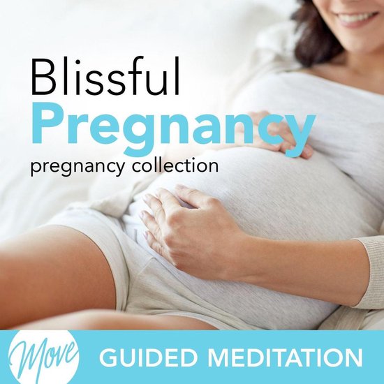 Blissful Pregnancy Amy Applebaum 9781987138856 Boeken