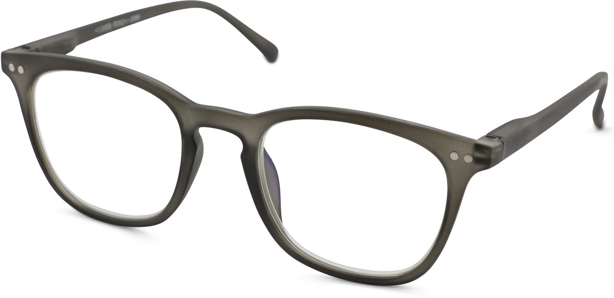 Leesbril MPG KLHB171-Gray-+3.00