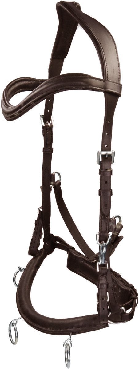 FREE HORSE KAPTOOM LEDER Bruin