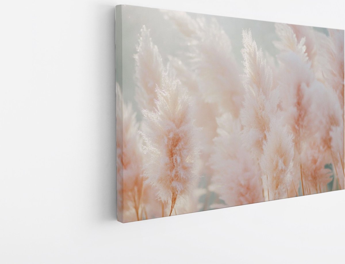 Saammp Canvas Schilderij - Pampas Gras in Zacht Licht - Natuur - Bloemen - 45x30 - Foto op canvas - Wanddecoratie - Muurdecoratie Woonkamer - Kantoor Decoratie Multicolor