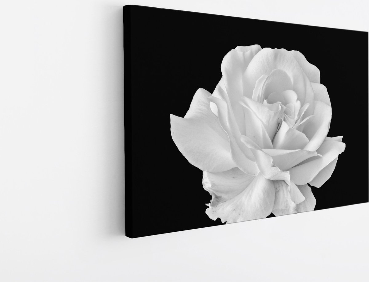 Saammp Canvas Schilderij - Witte Bloem - Natuur - 50x40 - Foto op canvas - Wanddecoratie - Muurdecoratie Woonkamer - Kantoor Decoratie Multicolor