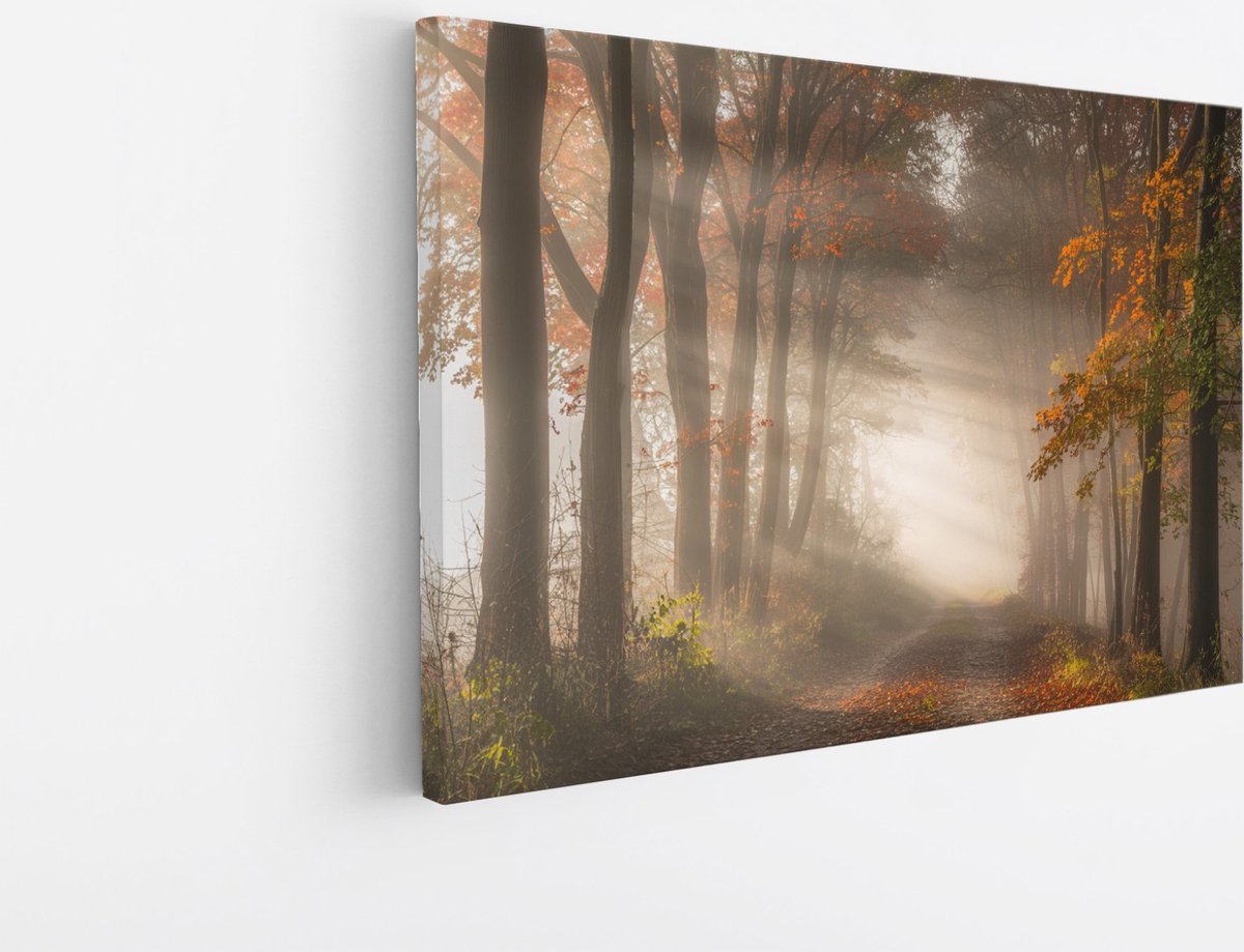 Saammp Canvas Schilderij - Bospad met zonneschijn - Nederland - Landschap - Natuur - 100x75 - Foto op canvas - Wanddecoratie - Muurdecoratie Woonkamer - Slaapkamer decoratie - Canvas Print Multicolor