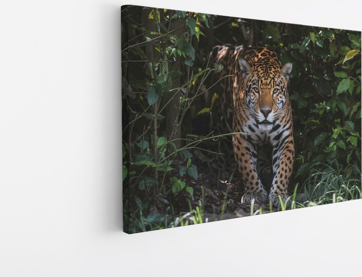Saammp Canvas Schilderij - Luipaard tussen de struiken - Natuur - Dieren - 60x40 - Foto op canvas - Wanddecoratie - Muurdecoratie Woonkamer - Slaapkamer decoratie - Canvas Print Multicolor