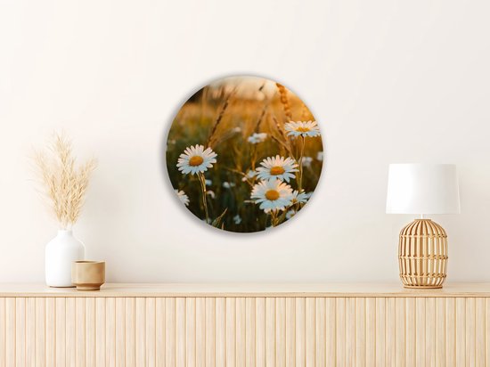Saammp Cercle Mural Bois - Nature - Marguerite - paysage - Ø 30 - Cercle Mural - Décoration murale Décoration murale Salon - Décoration Chambre - Tableau Rond