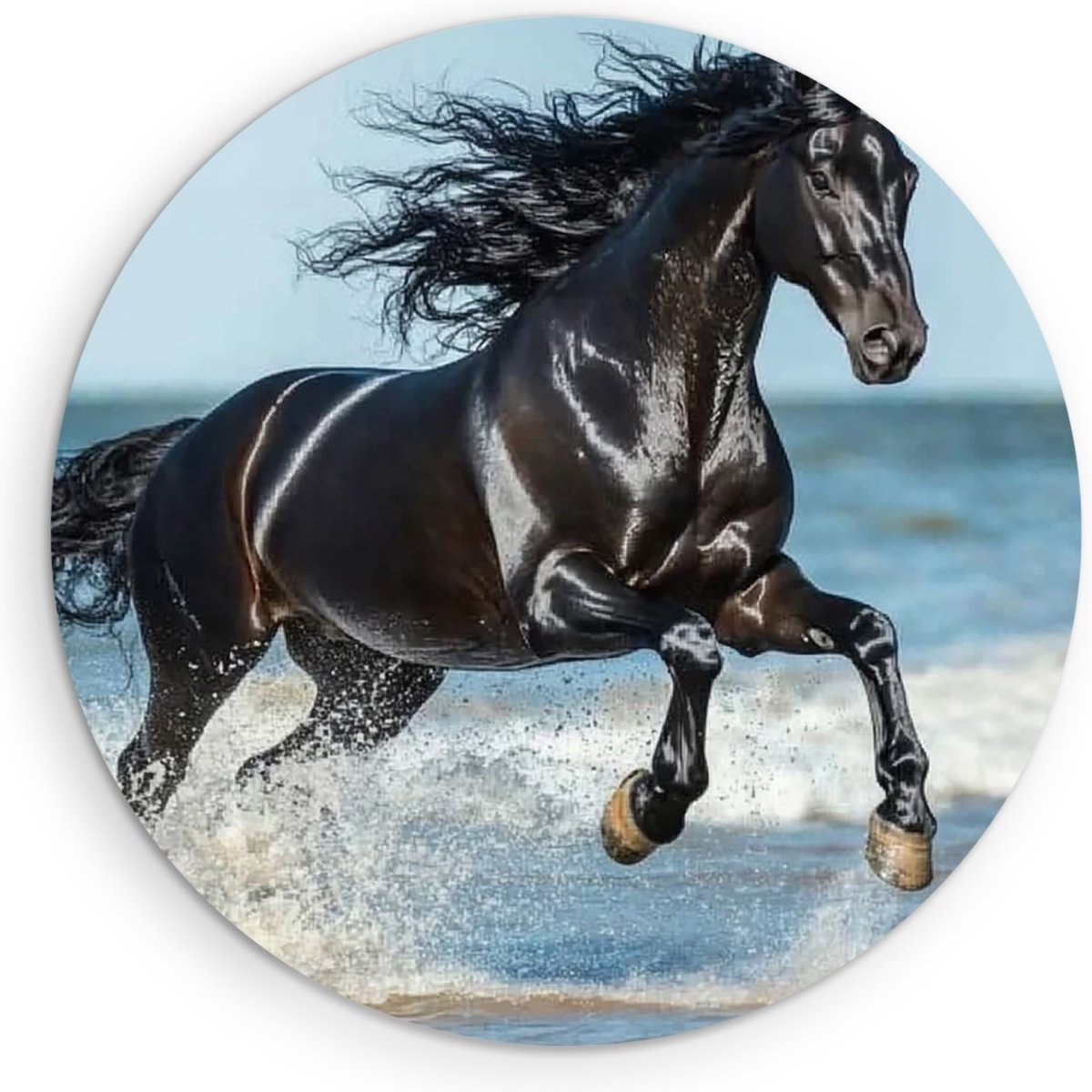 Saammp Forex Muurcirkel - Paard in de zee- Dieren - Natuur - Ø 60 - Wandcirkel - Wanddecoratie Cirkel - muurdecoratie Woonkamer - Slaapkamer decoratie - Rond Schilderij