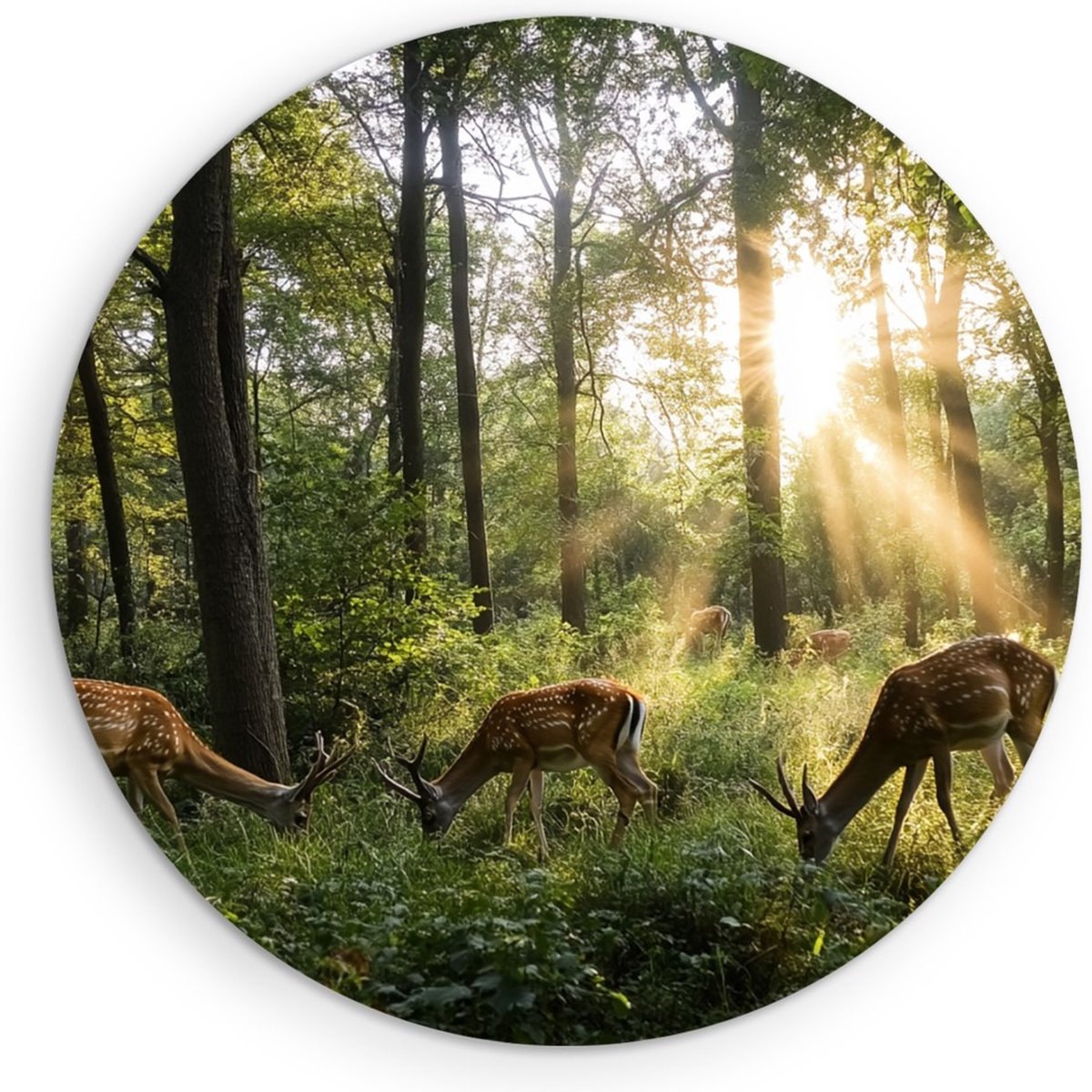 Saammp Forex Muurcirkel - Natuur - 4 Herten in het bos - landschappen - Ø 30 - Wandcirkel - Wanddecoratie Cirkel - Muurdecoratie Woonkamer - Slaapkamer decoratie - Rond Schilderij