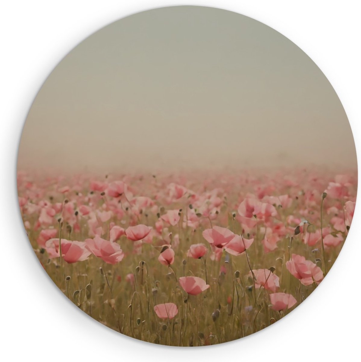 Saammp Muurcirkel Hout - Mistig Bloemenveld - Natuur - Abstract - Ø 70 - Wandcirkel - Wanddecoratie Cirkel - Muurdecoratie Woonkamer - Kantoor Decoratie
