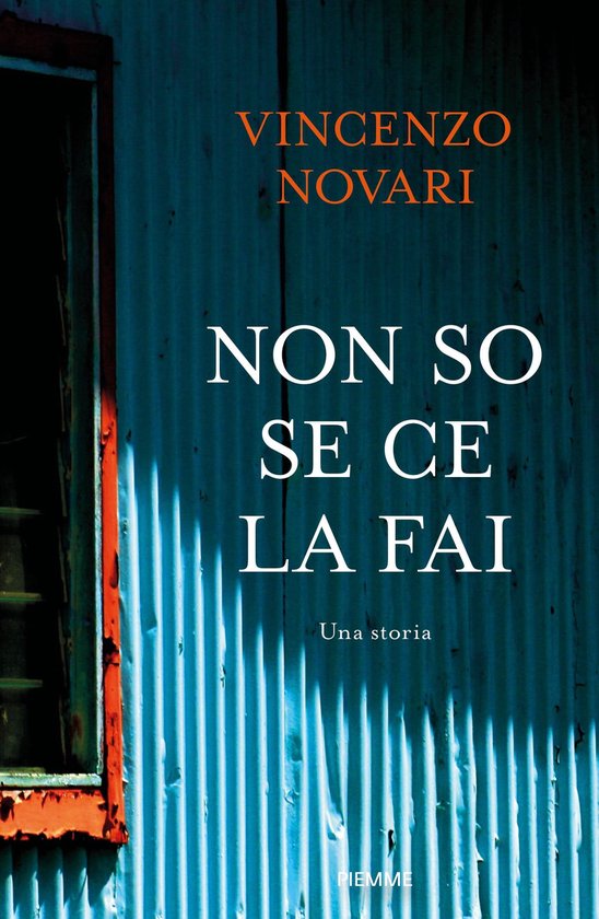Non so se ce la fai - cover