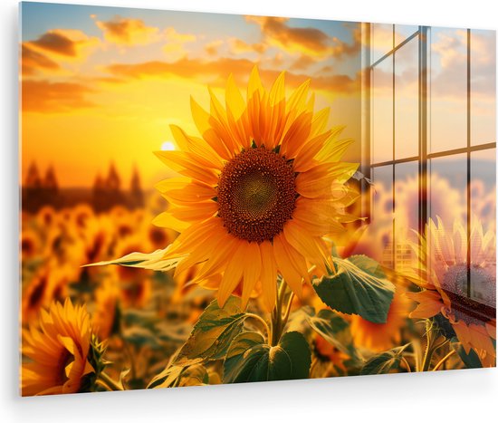MuchoWow® Glasschilderij 180x120 cm - Schilderij acrylglas - Zonnebloem - Bloemen - Geel - Bloemenveld met zonnebloemen - Foto op glas - Muurdecoratie woonkamer - Wanddecoratie slaapkamer - Schilderijen