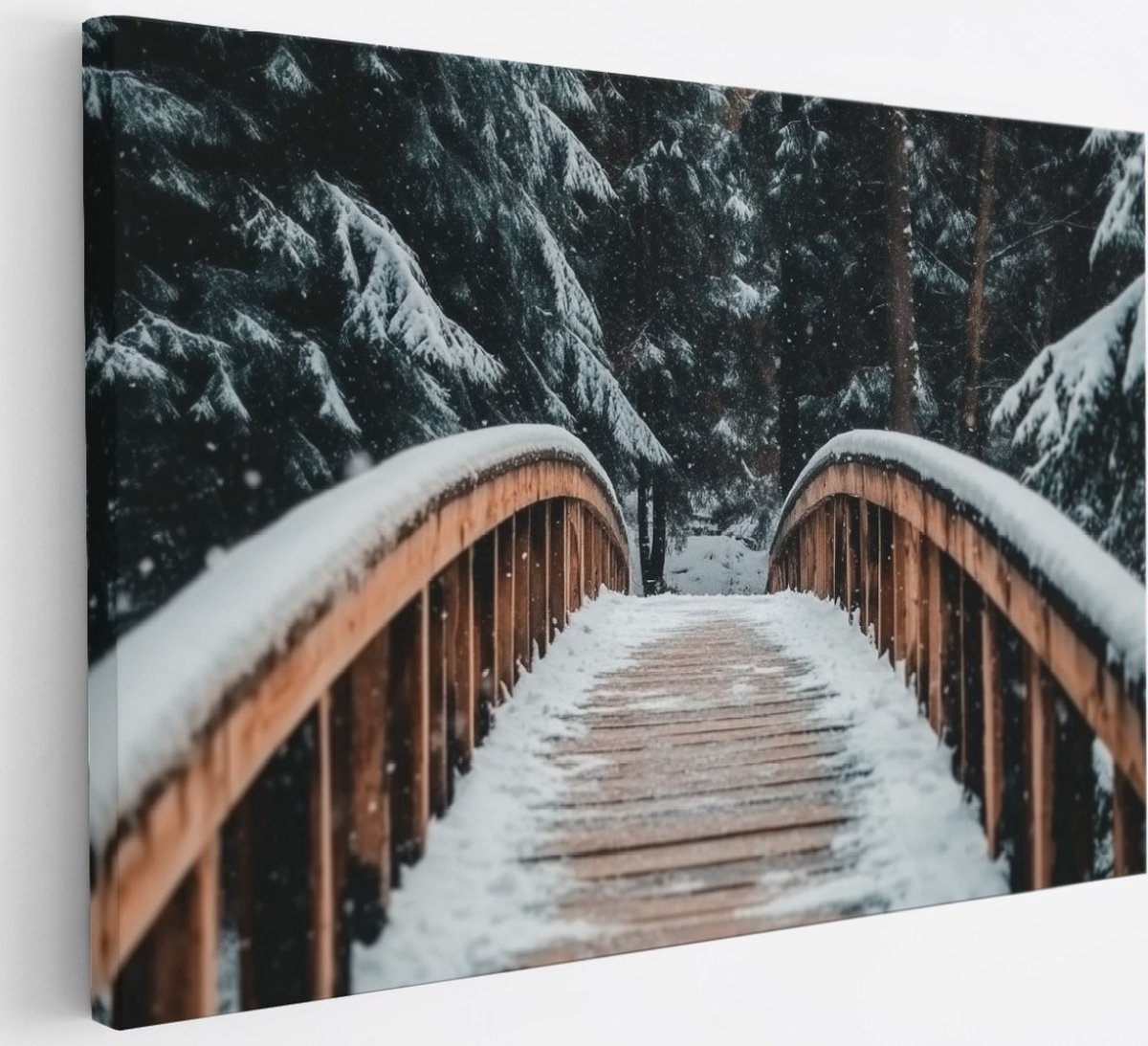Saammp Canvas Schilderij - Natuur - Winter - Pad van bladeren - landschappen - 30x20 - Foto op canvas - Wanddecoratie - Muurdecoratie Woonkamer - Slaapkamer decoratie - Canvas Print Multicolor