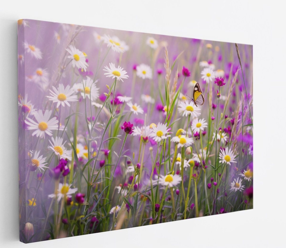 Saammp Canvas Schilderij - bloemen in veld - Natuur - 100x75 - Foto op canvas - Wanddecoratie - Muurdecoratie Woonkamer - Kantoor Decoratie Multicolor