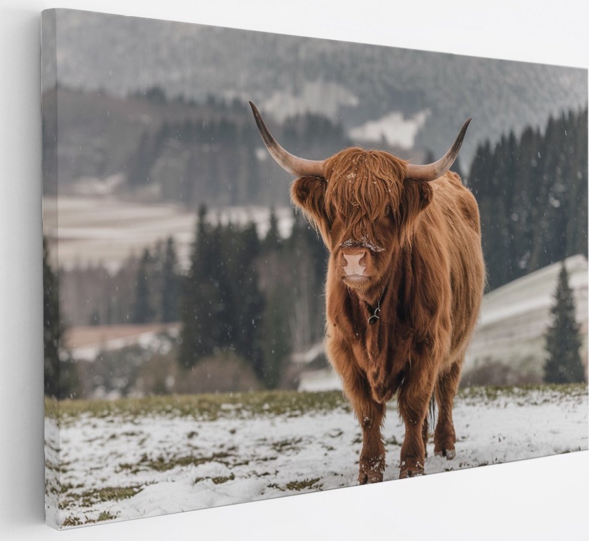 Saammp Canvas Schilderij - 2 Schotse Hooglander Koeien in de sneeuw - Dieren - Natuur - 30x20 - Foto op canvas - Wanddecoratie - muurdecoratie Woonkamer - Slaapkamer decoratie - Canvas Print Multicolor