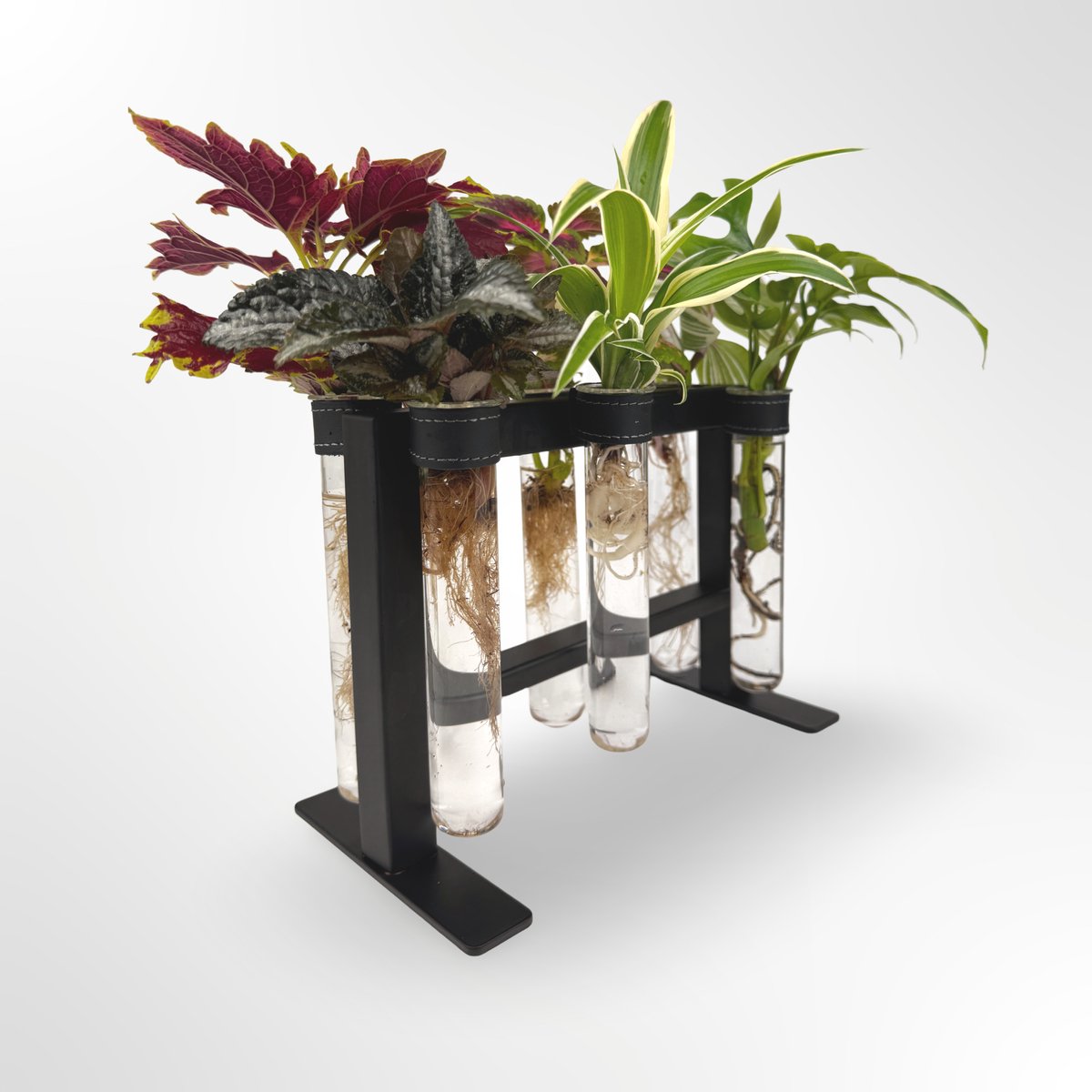 TWILG - magnetische vaasjes met zwart stijlvol rekje en stekstation – 6-delige set voor muur en tafel, inclusief N52 magneten en originele muuroplossing voor stekjes