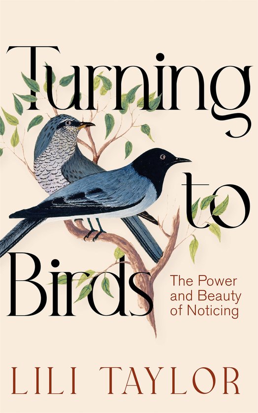 Turning to Birds - cover