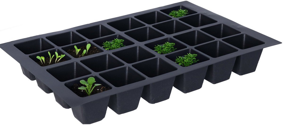 DID Kweekbak - 3x - 3-pack - 24 vakjes - zaaibak - zaaitray - zaadbak