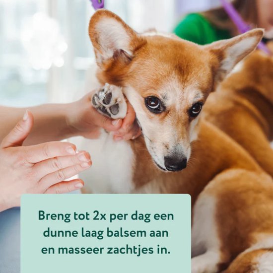 Private Label Groothandel Pootbalsem Voor Honden Baby Luier Crème Lotion Bescher