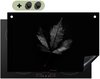 Noir, Feuille