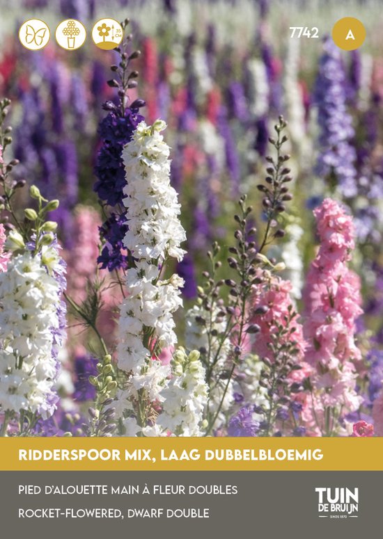 Ridderspoor Hyacinth Mix Zaden – Hoge Bloemen – Kleurrijke Bloei – Bloemzaden Tuin | Tuin de Bruijn