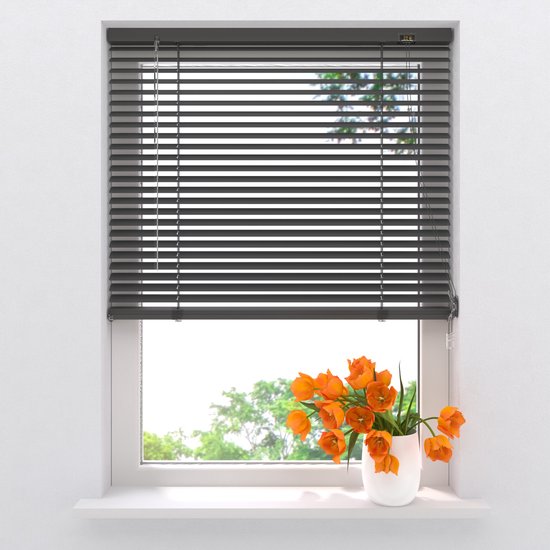 Store en aluminium Radeco® Easy - 25 mm - Anthracite - 110 x 250 cm