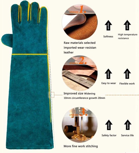 Vind handschoen vogel in Dieren en Toebehoren op
