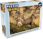 Puzzle Léopard - Forêt - Animal - Puzzle - Puzzle 500 pièces