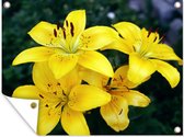 Tuinposter - Tuindoek - Tuinposters buiten - Gele lelies - 120x90 cm - Tuin