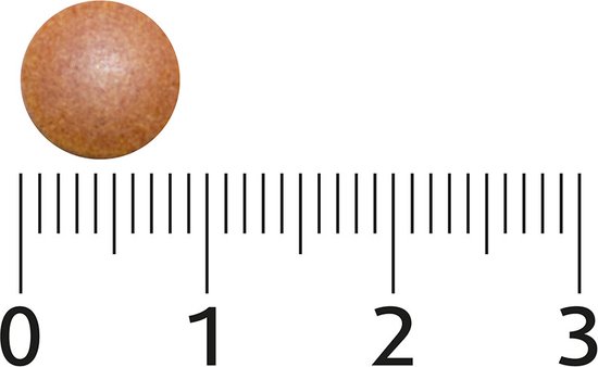 Een bruine, ronde tablet naast een liniaal met centimeters.