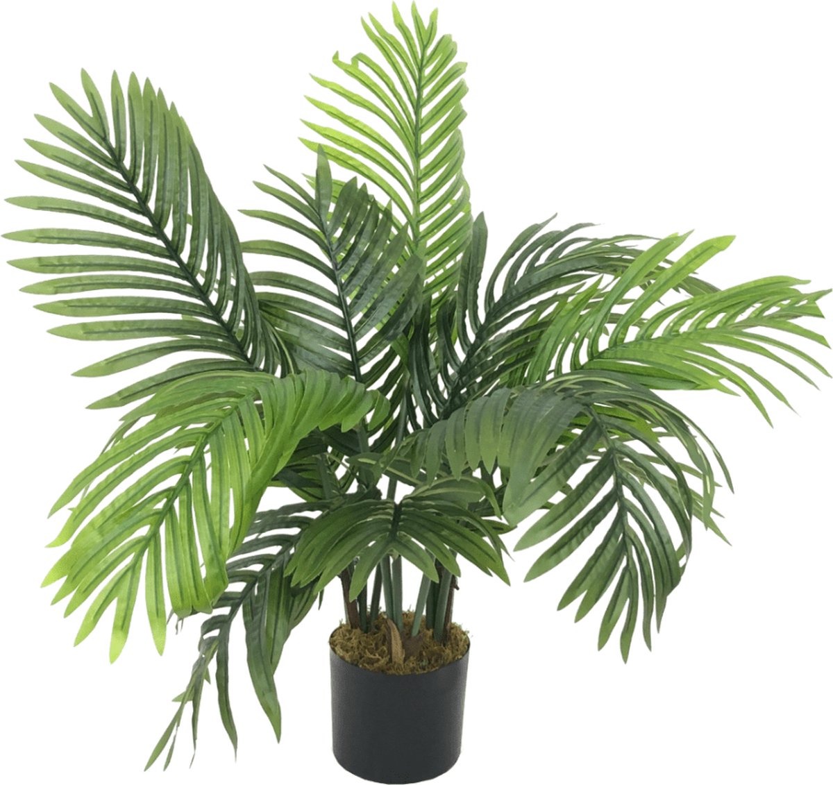 Kunstplant Palm Chamaedorea | 50 cm | een kunstplant met groene 'touch' - RHODÉ Kunstplant Palm Chamaedorea | 50 cm | een kunstplant met groene 'touch' - RHODÉ