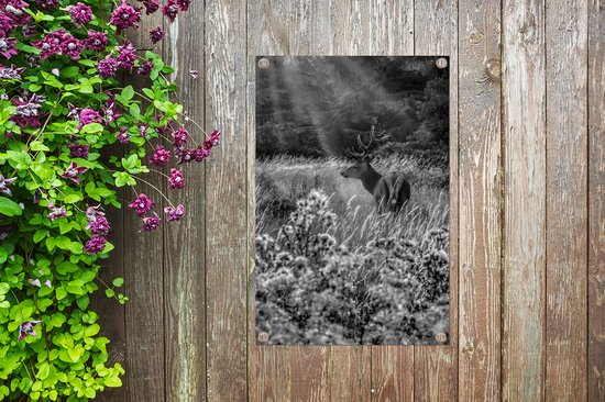 Décoration de jardin Orignal entre fleurs enneigées - noir et blanc - 40x60 cm - Poster jardin - Toile jardin - Poster extérieur