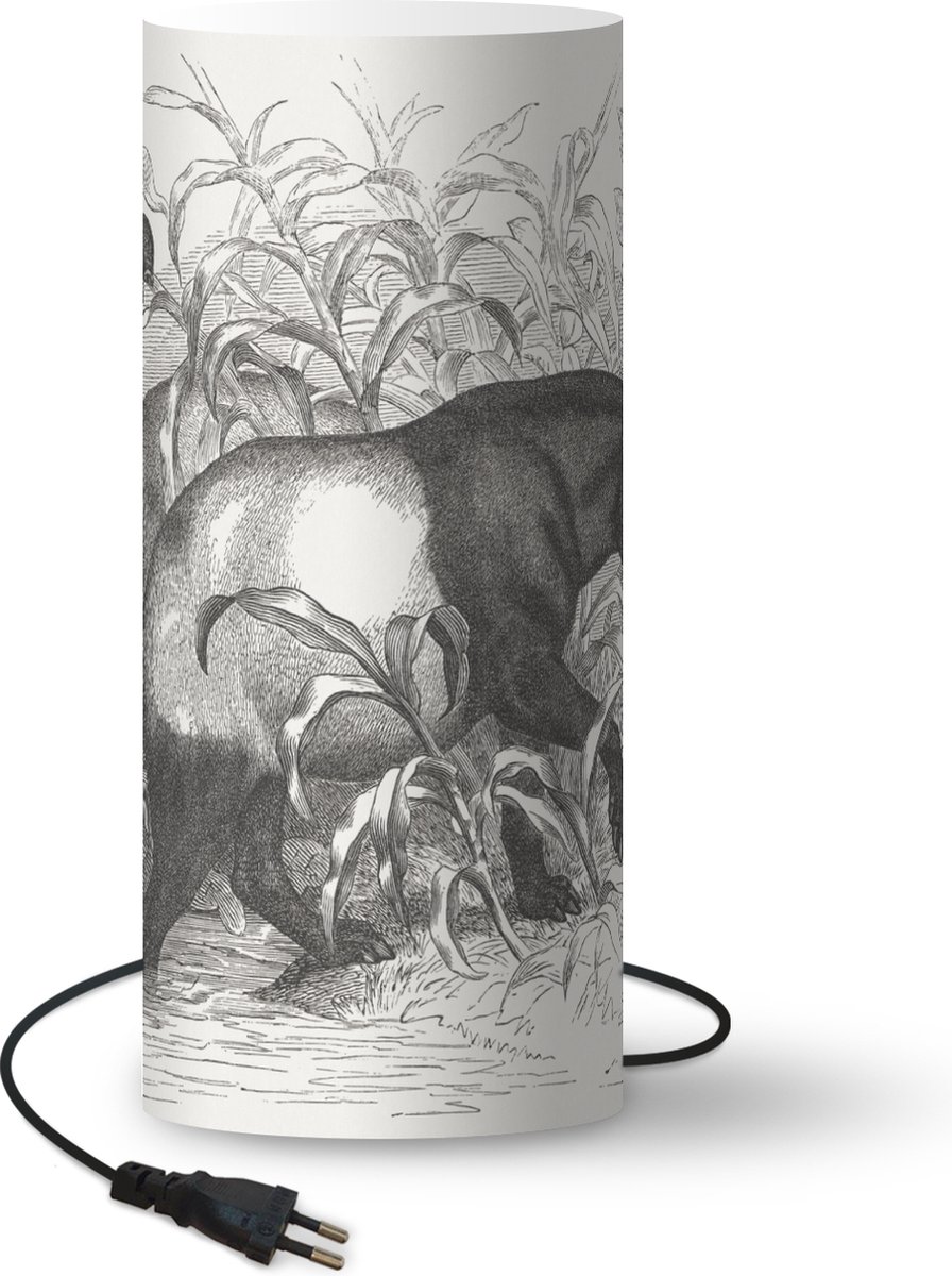 Lamp - Nachtlampje - Tafellamp slaapkamer - Illustratie van een tapir in een natuurlijke omgeving - 70 cm hoog - Ø29.6 cm - Inclusief LED lamp