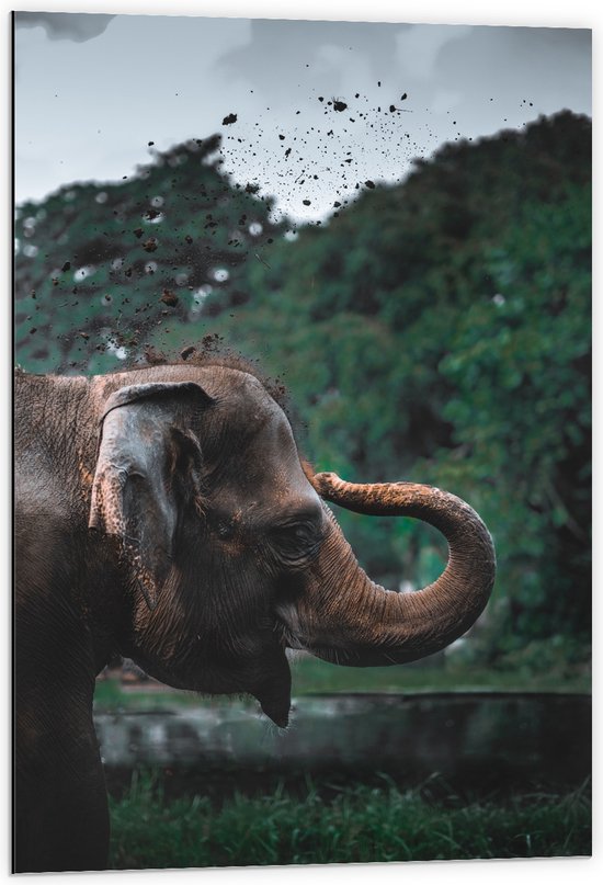 WallClassics - Dibond - Olifant Spelend met Zand - 60x90 cm Foto op Aluminium (Met Ophangsysteem)