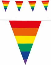 Regenboog thema vlaggenlijn/vlaggetjes enkelzijdig bedrukt 10 meter - Feestartikelen/versieringen
