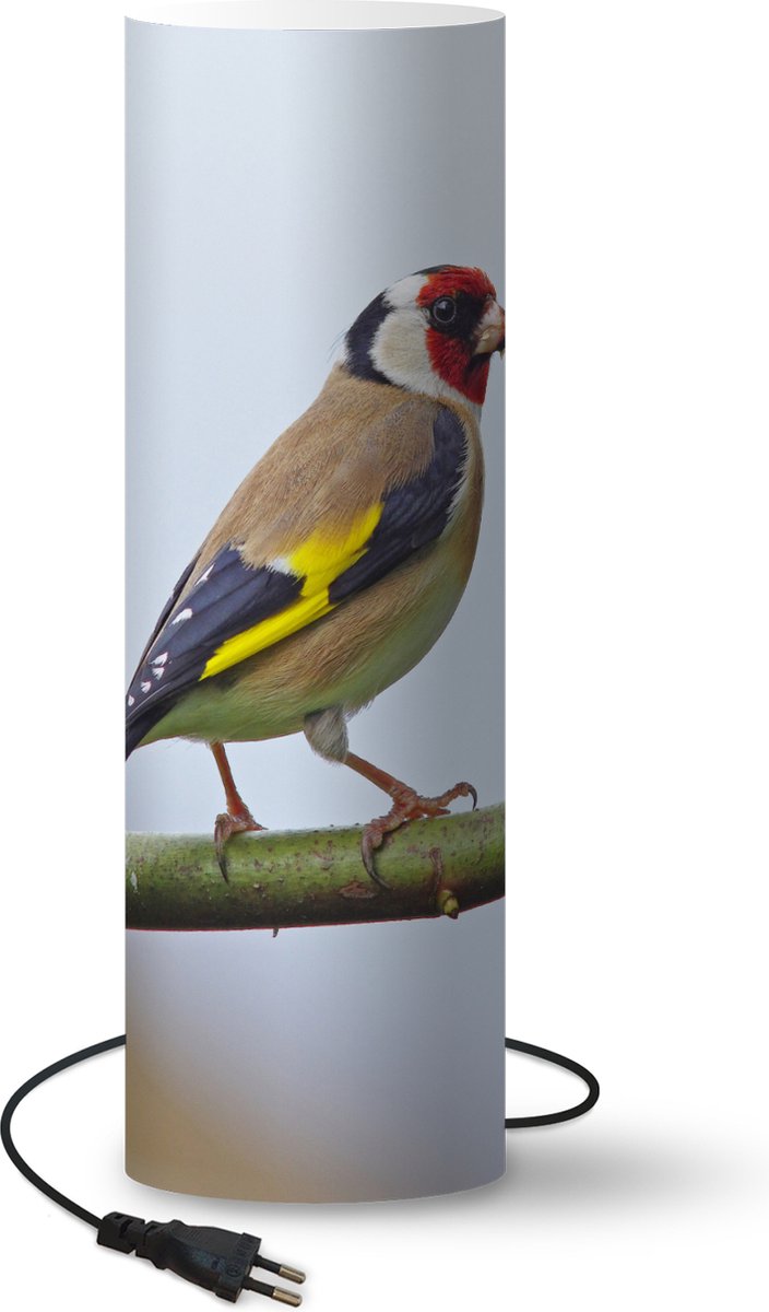 Lamp - Nachtlampje - Tafellamp slaapkamer - Een kleurrijke vink op een tak - 60 cm hoog - Ø19.1 cm - Inclusief LED lamp