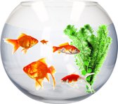 Vase Fishbowl Transparent - Aquarium / Fishbowls Ronds