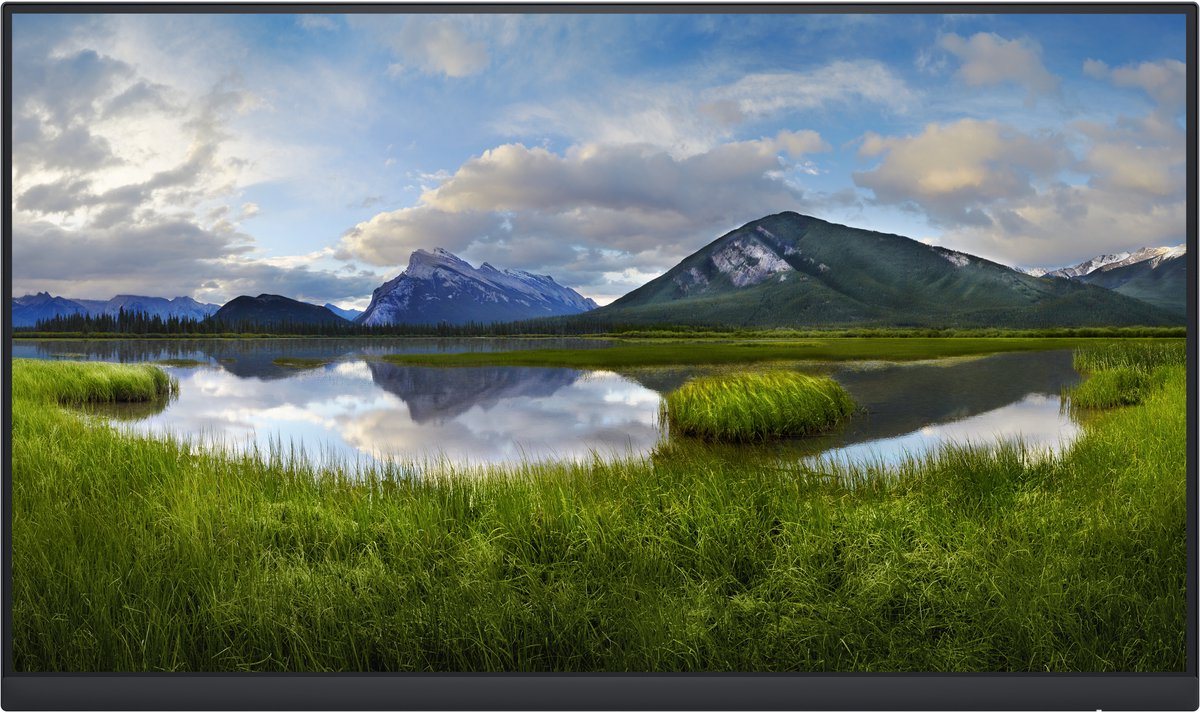 DELL P2422HE_WOST - 23.8" - Geen standaard