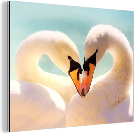 Décoration murale Métal - Peinture Aluminium Industrielle - Cygnes - Amour - Blauw - 80x60 cm - Dibond - Photo sur aluminium - Décoration murale industrielle - Pour le salon / chambre
