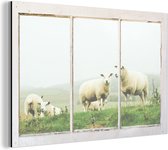 Wanddecoratie Metaal - Aluminium Schilderij Industrieel - Doorkijk - Schaap - Gras - 30x20 cm - Dibond - Foto op aluminium - Industriële muurdecoratie - Voor de woonkamer/slaapkamer