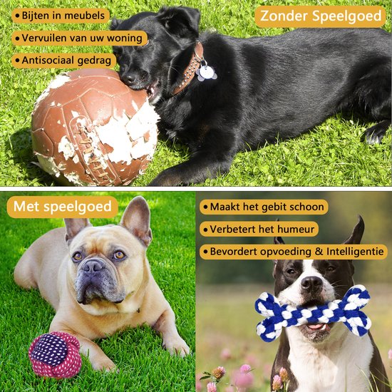 WEBU 12-Pack Hondenspeelgoed set - Hondenspeeltjes - Honden Speelgoed Bevordert de Intelligentie van uw Hond - Kauw/Bijt Speelgoed - Geschikt voor Puppy’s t/m Grote Honden - Merkloos