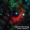 Spirits Burning - Recollections Of Instrumentals (CD)