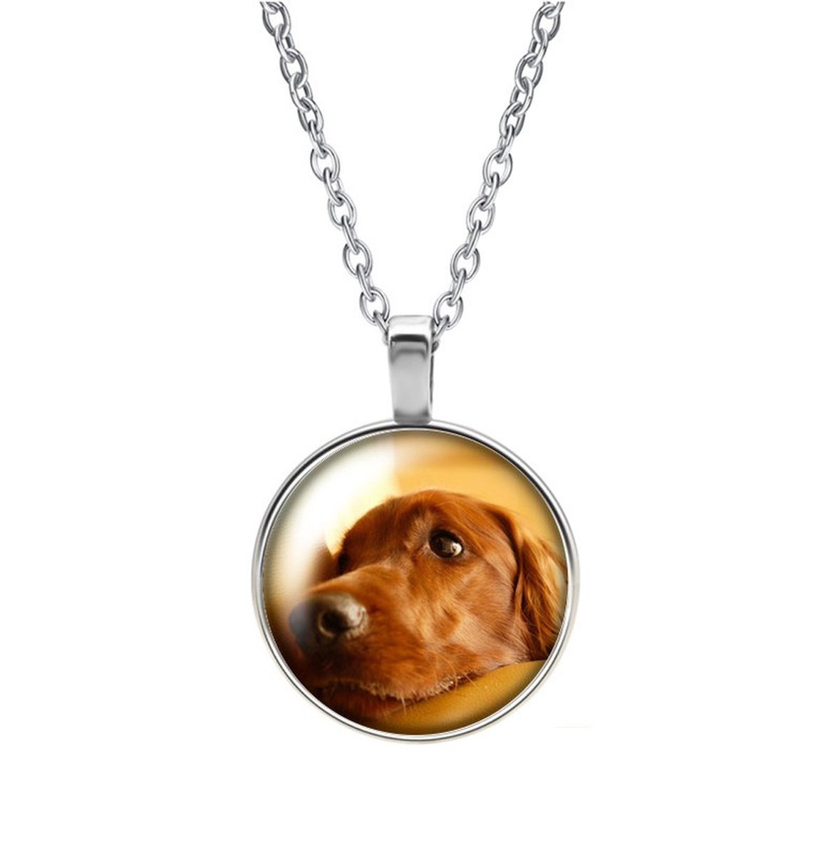 Ketting Glas - Hond