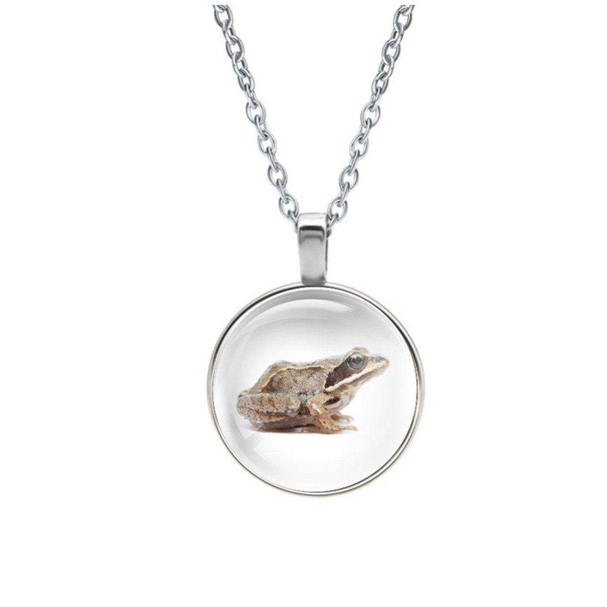 Ketting Glas - Kikker